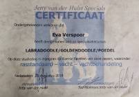 Certificaat specialisatiecursus labradoodle, goldendoodle en poedel eva verpsoor